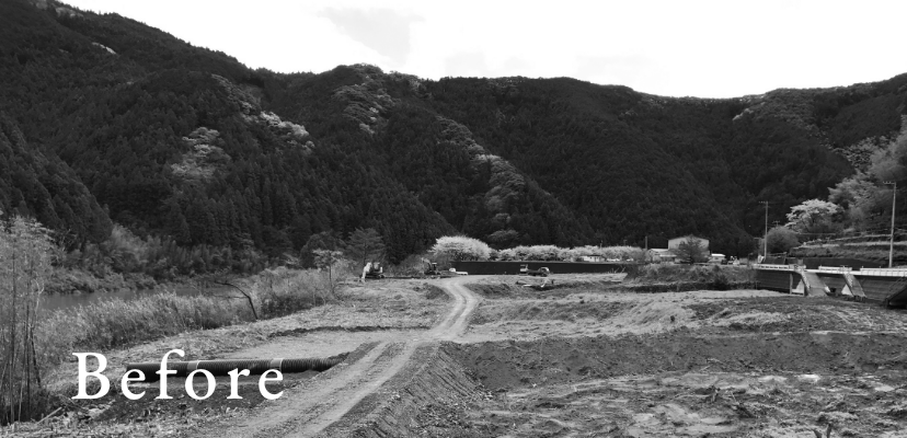 before画像