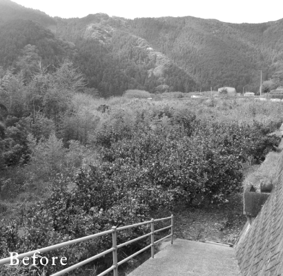 before画像